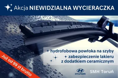 Akcja "Niewidzialna wycieraczka"